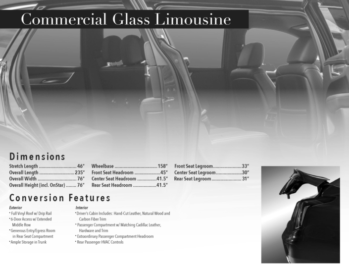 Platinum Commercial Limo 100126-2